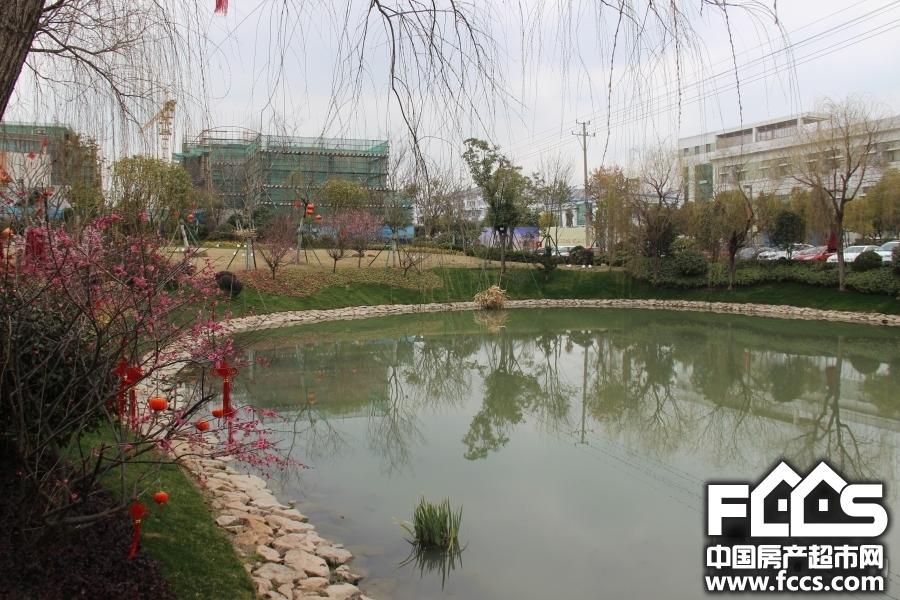 海伦堡珍珠湾花园