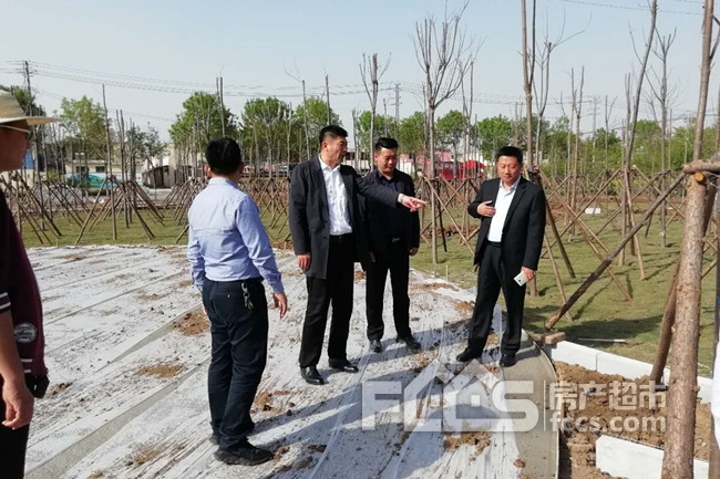 滕州市 宗成伟现场调度善南森林公园建设情况