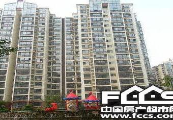 黄金SOHO的封面图