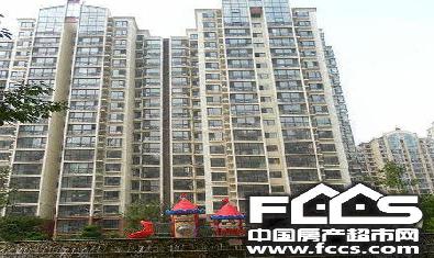 黄金SOHO的封面图