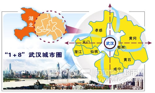 区域治理视角下的武汉城市圈治理体系探究