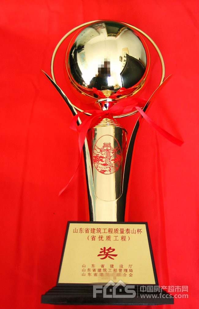 2022中国足协杯决赛山东泰山队2:1逆转浙江队夺取胜利